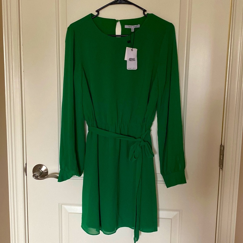 NWT Naked Zebra Green Dress with Sleeves